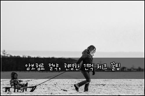 암보험료 절약, 현명한 견적 체크 꿀팁