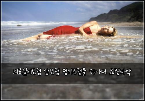์๋ฃ์ค๋น๋ณดํ ์๋ณดํ ์ ๊ธฐ๋ณดํ์ ํ๋๋ ์๋ นํ์