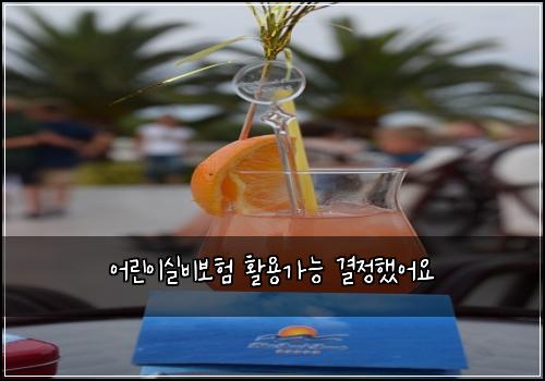 ์ด๋ฆฐ์ด์ค๋น๋ณดํ ํ์ฉ๊ฐ๋ฅ ๊ฒฐ์ ํ์ด์