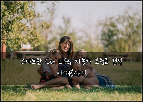  스마트한 Car Life, 자동차 보험료 견적 아껴봅시다!