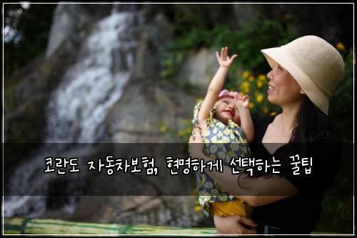 코란도 자동차보험, 현명하게 선택하는 꿀팁