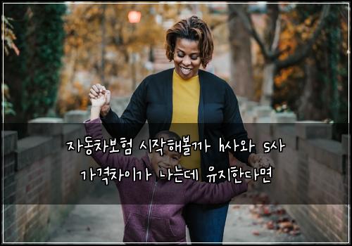자동차보험 시작해볼까  h사와 s사 가격차이가 나는데 유지한다면