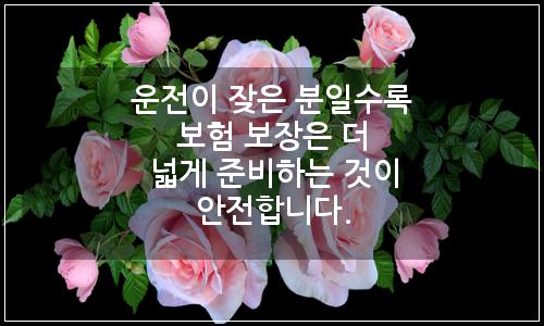 오늘의 이미지