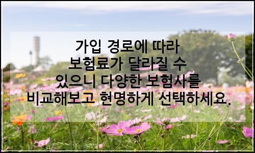 오늘의 이미지