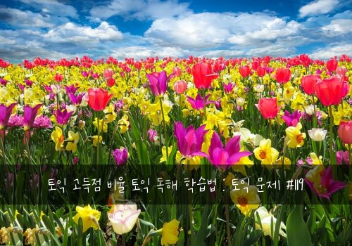 토익 고득점 비율 토익 독해 학습법 : 토익 문제 #119