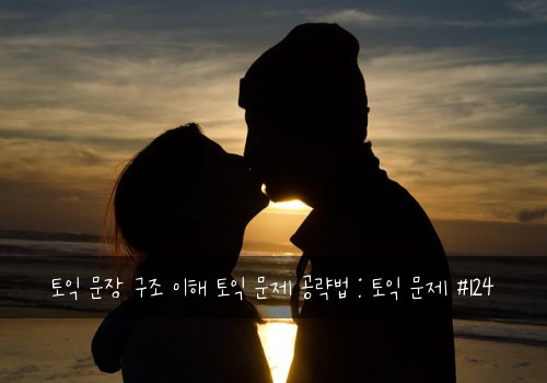 토익 문장 구조 이해 토익 문제 공략법 : 토익 문제 #124