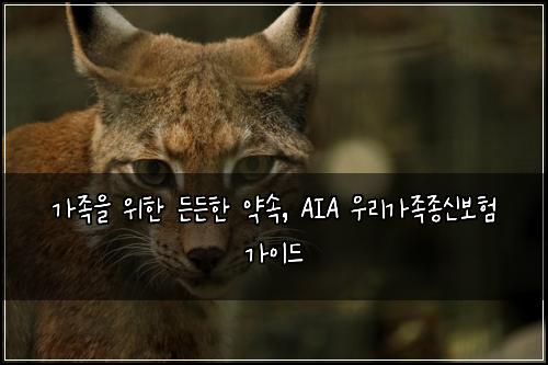  가족을 위한 든든한 약속, AIA 우리가족종신보험 가이드