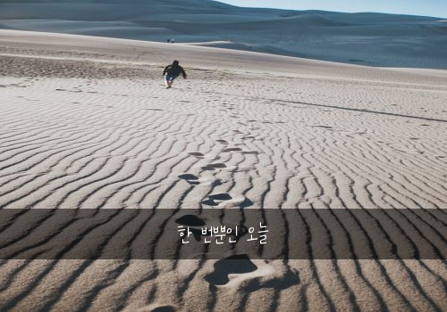 한 번뿐인 오늘