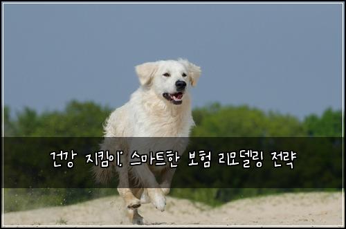 건강 지킴이: 스마트한 보험 리모델링 전략