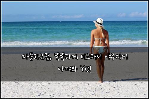 자동차보험, 똑똑하게 비교해서 야무지게 아껴봐 YO!