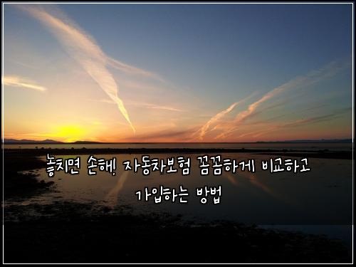  놓치면 손해! 자동차보험 꼼꼼하게 비교하고 가입하는 방법