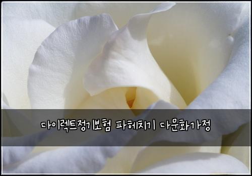 다이렉트정기보험 파헤치기  다문화가정