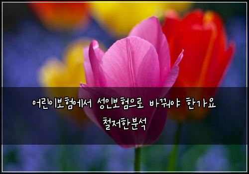 어린이보험에서 성인보험으로 바꿔야 한가요 철저한분석
