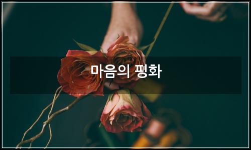 오늘의 이미지