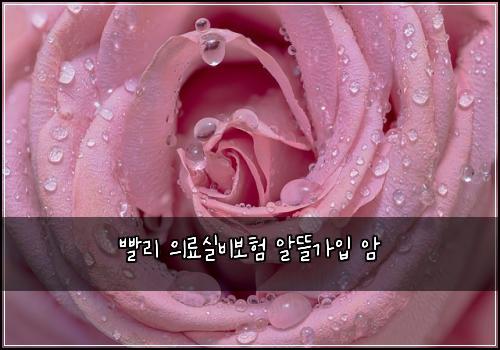 ๋นจ๋ฆฌ ์๋ฃ์ค๋น๋ณดํ ์๋ฐ๊ฐ์
์