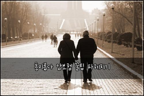 흥미롭다 암보험 꿀팁 파헤치기
