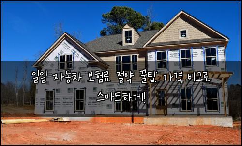 일일 자동차 보험료 절약 꿀팁: 가격 비교로 스마트하게!