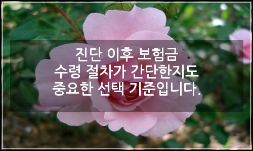 오늘의 이미지