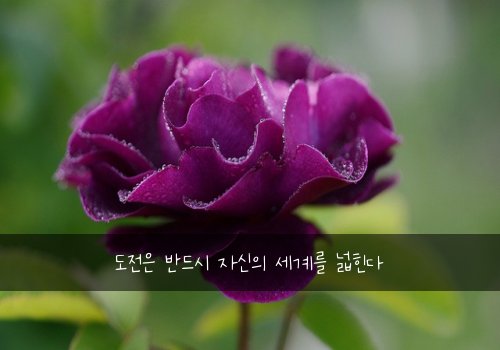 도전은 반드시 자신의 세계를 넓힌다