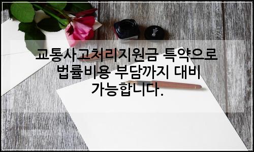 오늘의 이미지
