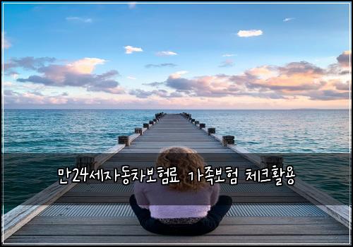 만24세자동차보험료 가족보험 체크활용