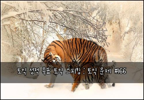 토익 성적 목표 토익 스피킹 : 토익 문제 #166