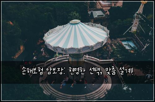 손해보험 암보장: 현명한 선택, 맞춤 설계!