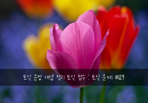 토익 문법 개념 정리 토익 점수 : 토익 문제 #129