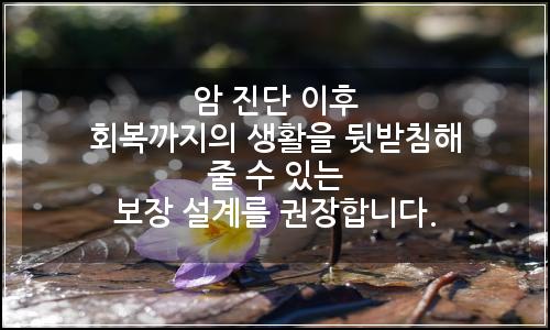 오늘의 이미지