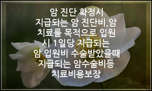 오늘의 이미지