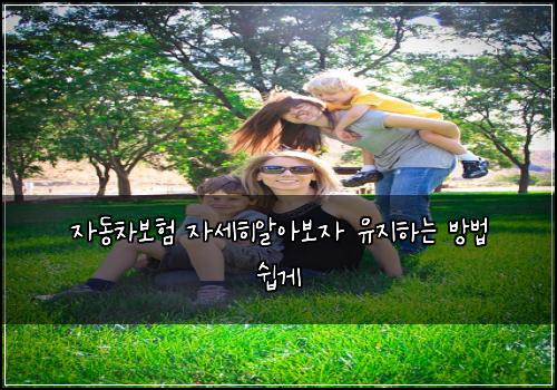μλ차보ν μμΈνμμ보μ μ μ§νλ λ°©λ² μ½κ²