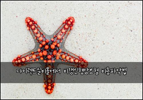 다이렉트실비몰에서 비갱신형암보험 비용파악법 