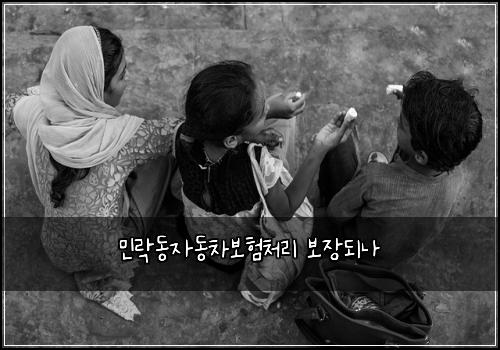 민락동자동차보험처리 보장되나