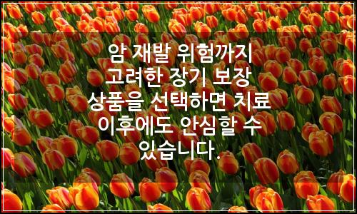 오늘의 이미지