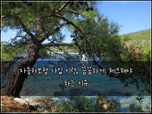 자동차보험 가입 이력, 꼼꼼하게 체크해야 하는 이유