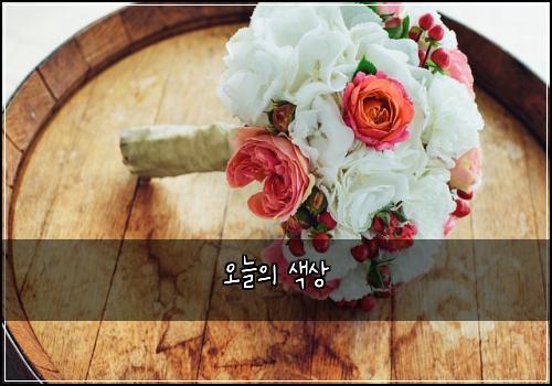 오늘의 색상