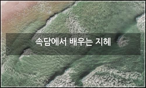 오늘의 이미지