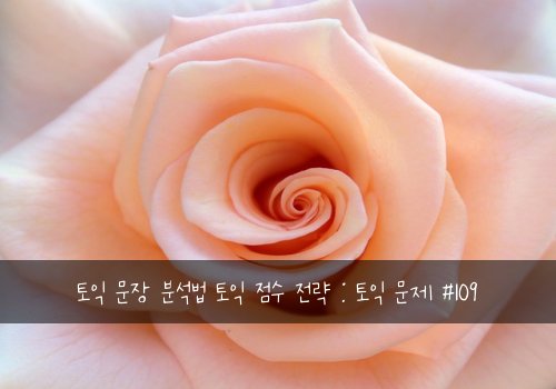 토익 문장 분석법 토익 점수 전략 : 토익 문제 #109