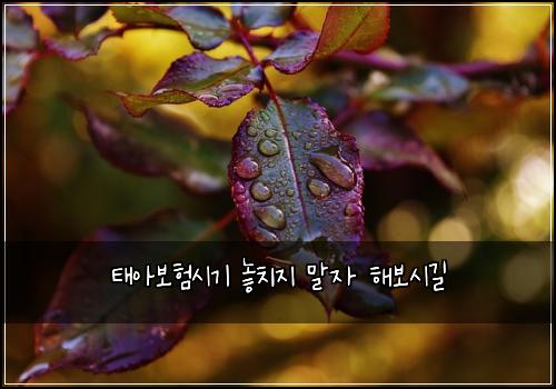 태아보험시기 놓치지 말자 해보시길