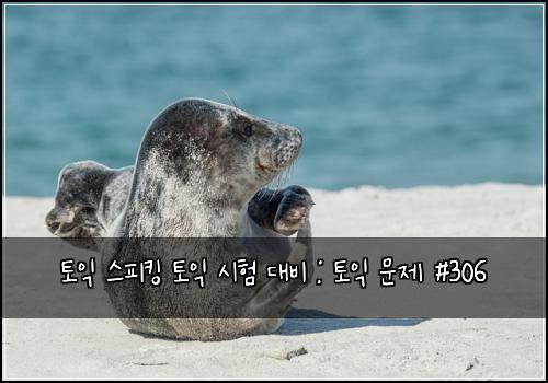 토익 스피킹 토익 시험 대비 : 토익 문제 #306