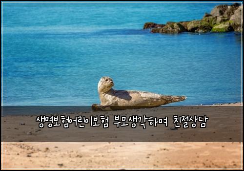 생명보험어린이보험 부모생각하며 친절상담