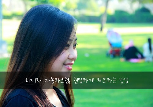 외제차 자동차보험, 현명하게 체크하는 방법