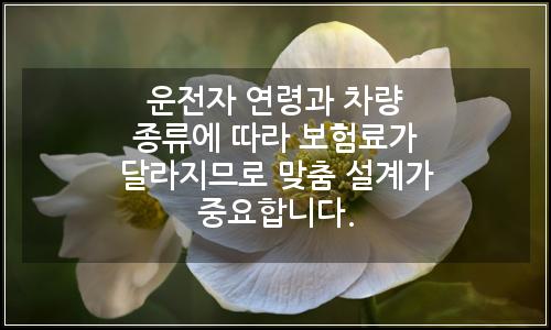 오늘의 이미지