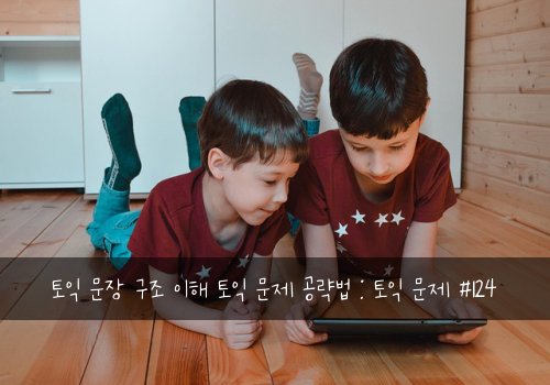 토익 문장 구조 이해 토익 문제 공략법 : 토익 문제 #124