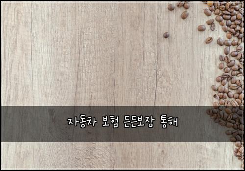 ์๋์ฐจ ๋ณดํ ๋ ๋ ๋ณด์ฅ ํตํด