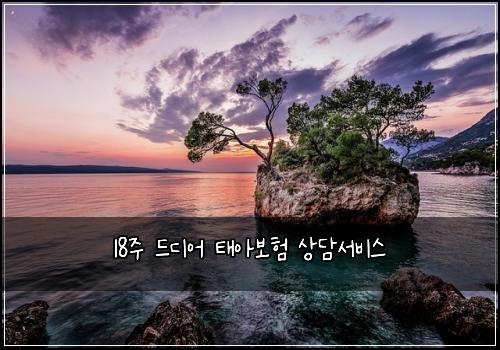 18주 드디어 태아보험 상담서비스 