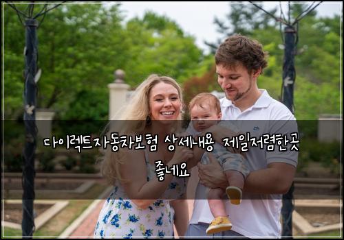 ๋ค์ด๋ ํธ์๋์ฐจ๋ณดํ ์์ธ๋ด์ฉ ์ ์ผ์ ๋ ดํ๊ณณ ์ข๋ค์