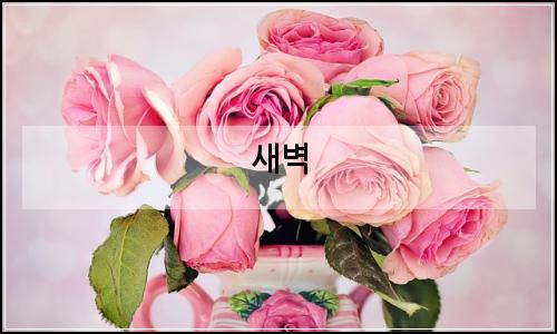 오늘의 이미지