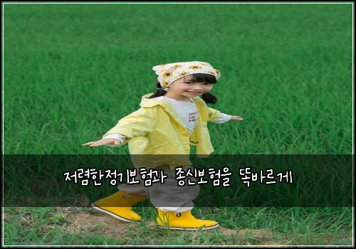 ์ ๋ ดํ์ ๊ธฐ๋ณดํ๊ณผ ์ข
์ ๋ณดํ์ ๋๋ฐ๋ฅด๊ฒ