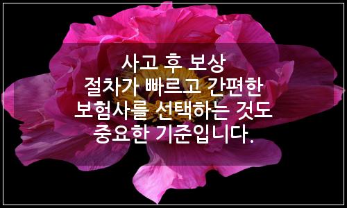 오늘의 이미지